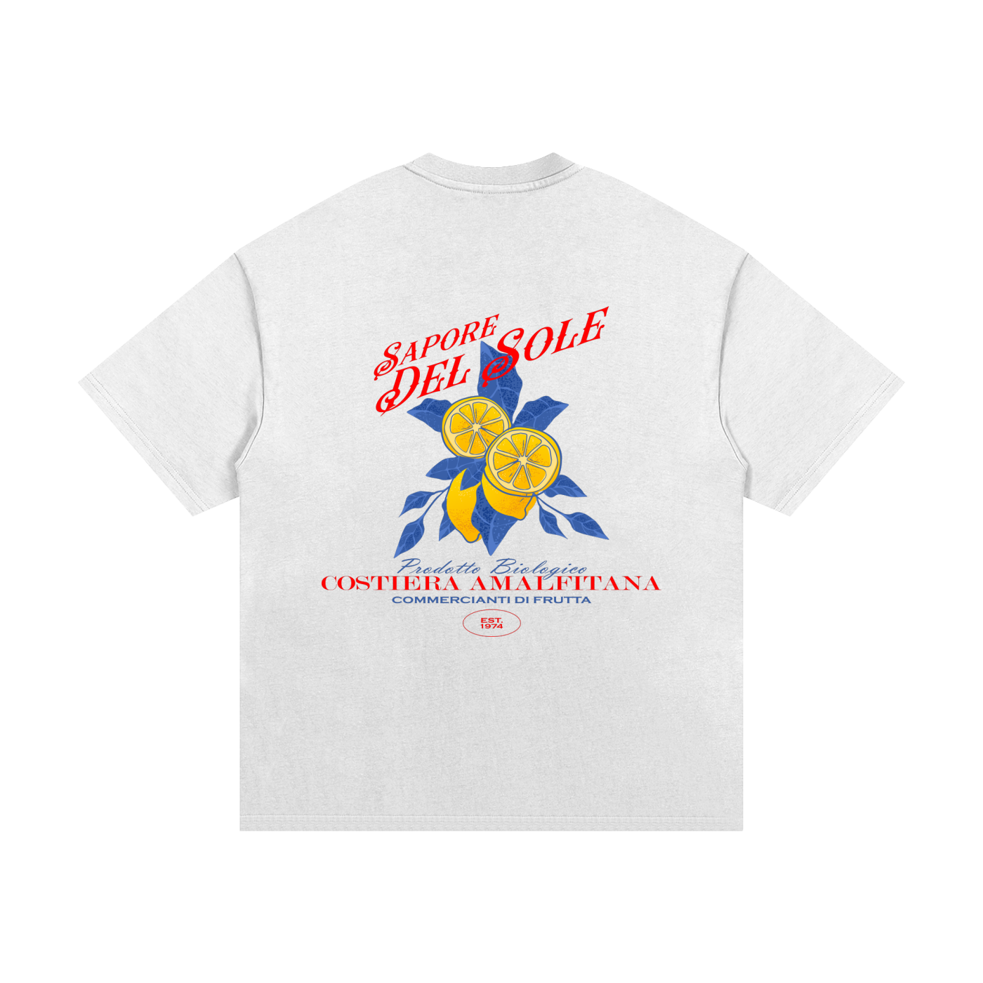 SUBSTATE 'Sapore Del Sole' Oversized Heavyweight Cotton T-Shirt